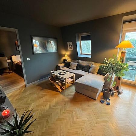 Appartement Cosy Le Chesnay Le Chesnay  Exteriör bild