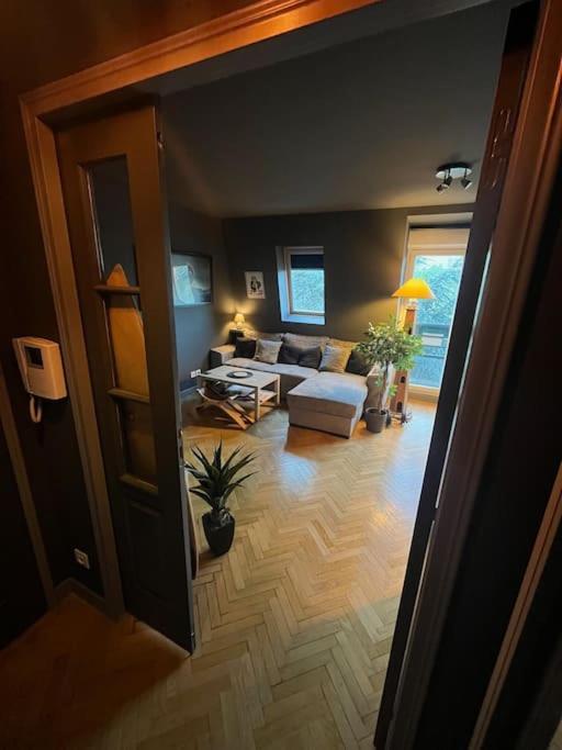 Appartement Cosy Le Chesnay Le Chesnay  Exteriör bild